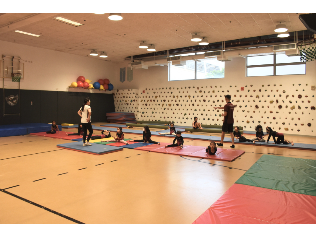 7_Hire Our Facilities_Primary Gymnasium