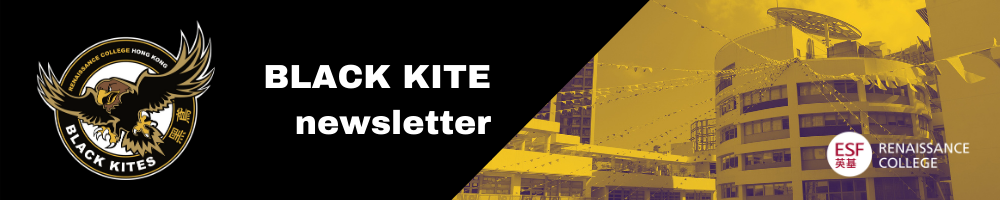Public Photos / Files - Discover_Black Kite Newsletter Banner